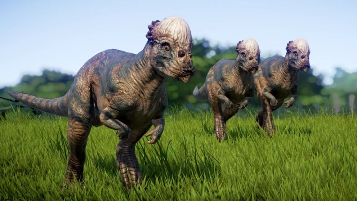 Pachycephalosaur